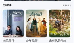 国产91在线视频,揭秘国内热门影视资源平台