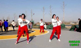 广场舞视频教学,跟随视频轻松学会热门舞步